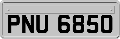 PNU6850