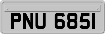 PNU6851