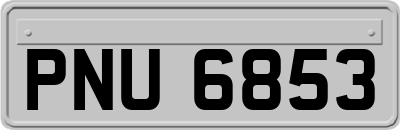 PNU6853