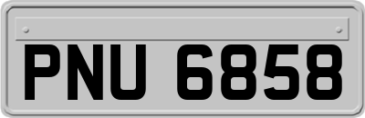 PNU6858