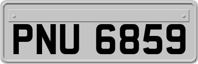 PNU6859
