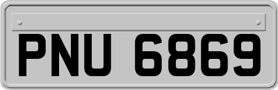 PNU6869
