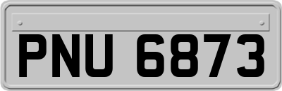 PNU6873