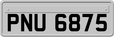 PNU6875