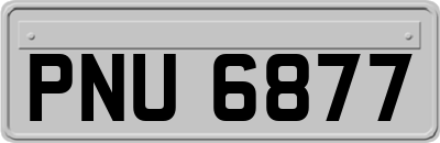 PNU6877