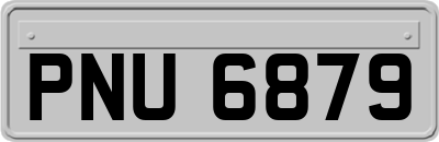 PNU6879