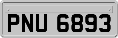 PNU6893