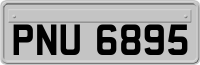 PNU6895