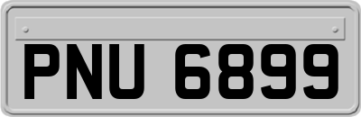 PNU6899