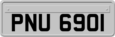 PNU6901
