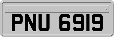 PNU6919