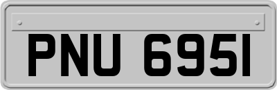 PNU6951