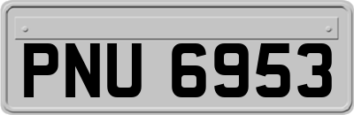 PNU6953