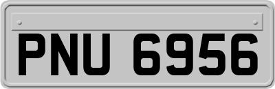 PNU6956