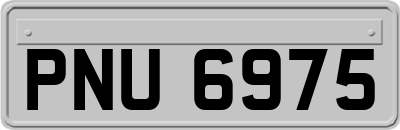 PNU6975