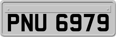 PNU6979