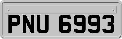 PNU6993