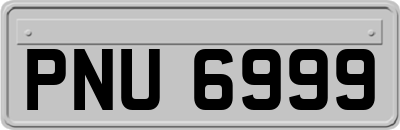 PNU6999
