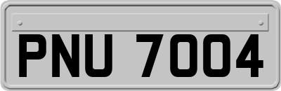 PNU7004