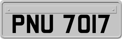 PNU7017