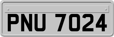 PNU7024
