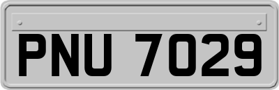 PNU7029