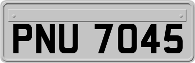 PNU7045