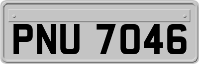 PNU7046