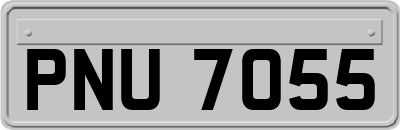 PNU7055