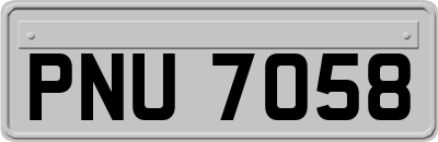 PNU7058