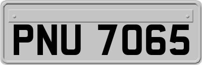 PNU7065