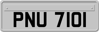 PNU7101