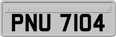 PNU7104