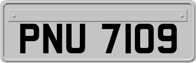 PNU7109