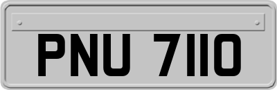 PNU7110