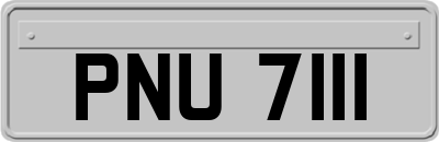 PNU7111