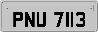 PNU7113