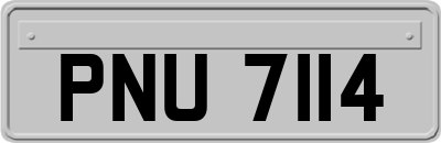 PNU7114