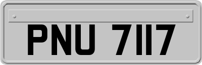 PNU7117
