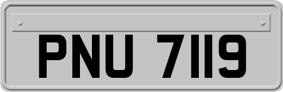 PNU7119