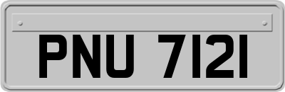 PNU7121