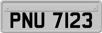 PNU7123
