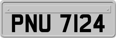 PNU7124