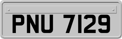 PNU7129