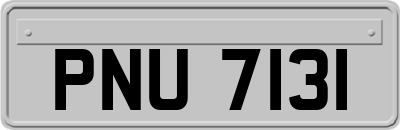PNU7131
