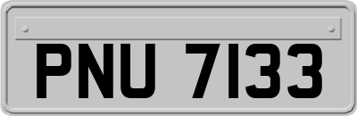 PNU7133