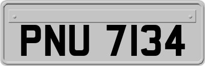 PNU7134