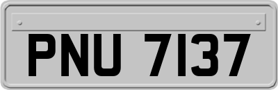 PNU7137