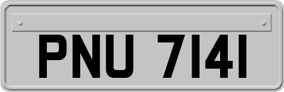 PNU7141