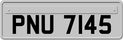 PNU7145
